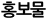 홍보물